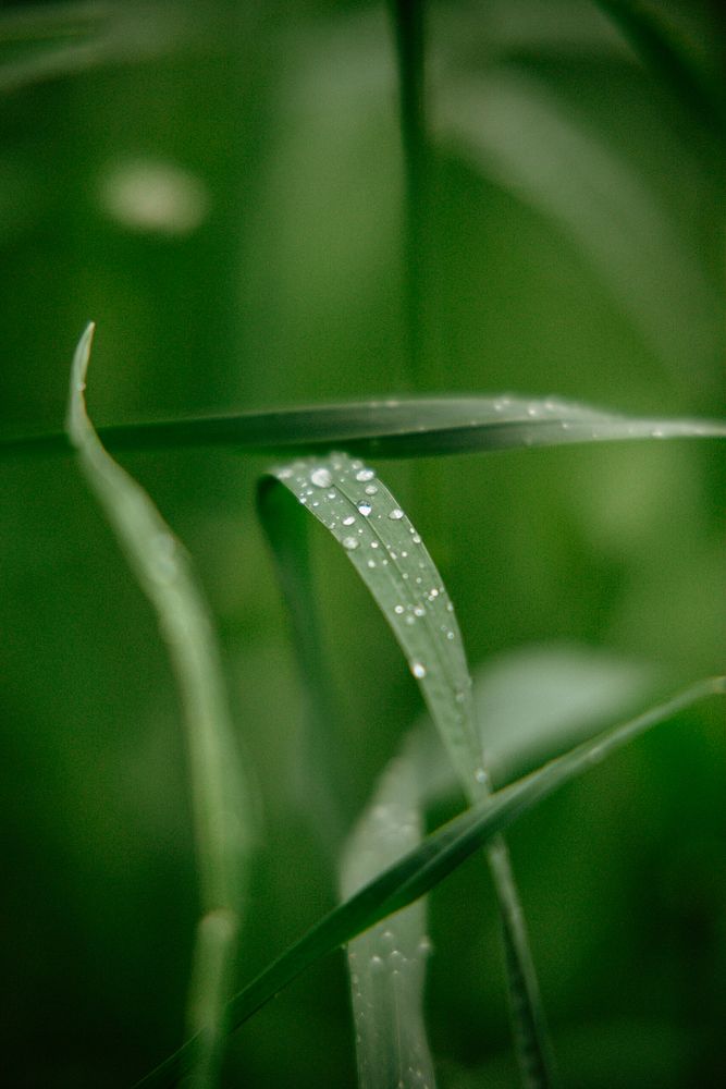 Photograph by Алиса Никитина