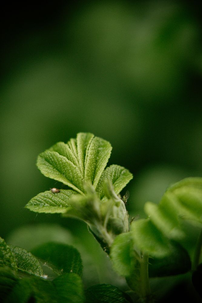 Photograph by Алиса Никитина