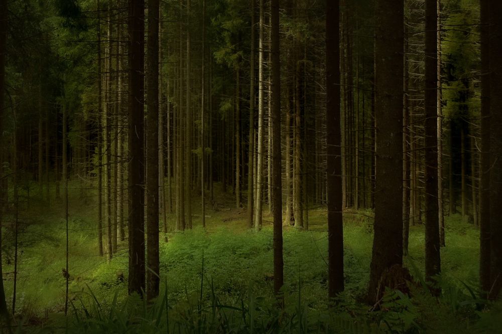 Photograph by Eva Lihor-Laza