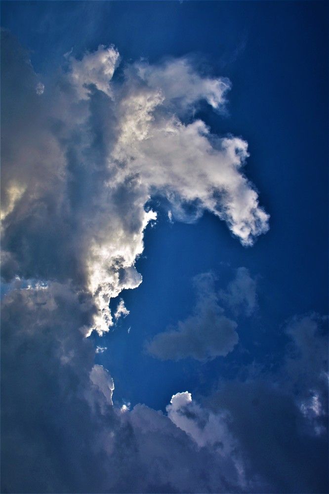 Photograph by БРОВКО АЛЕКСАНДР ИВАНОВИЧ