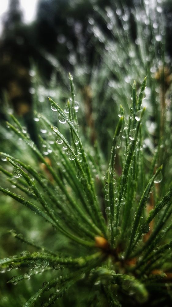 Photograph by Митюшкова Алёна