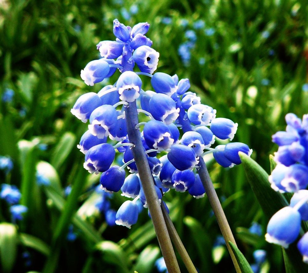 Photograph by леонид натапов