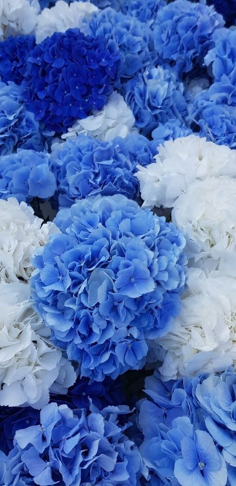 Фотография автора Ольга Мусина