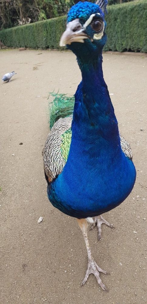 Фотография автора Ольга Мусина