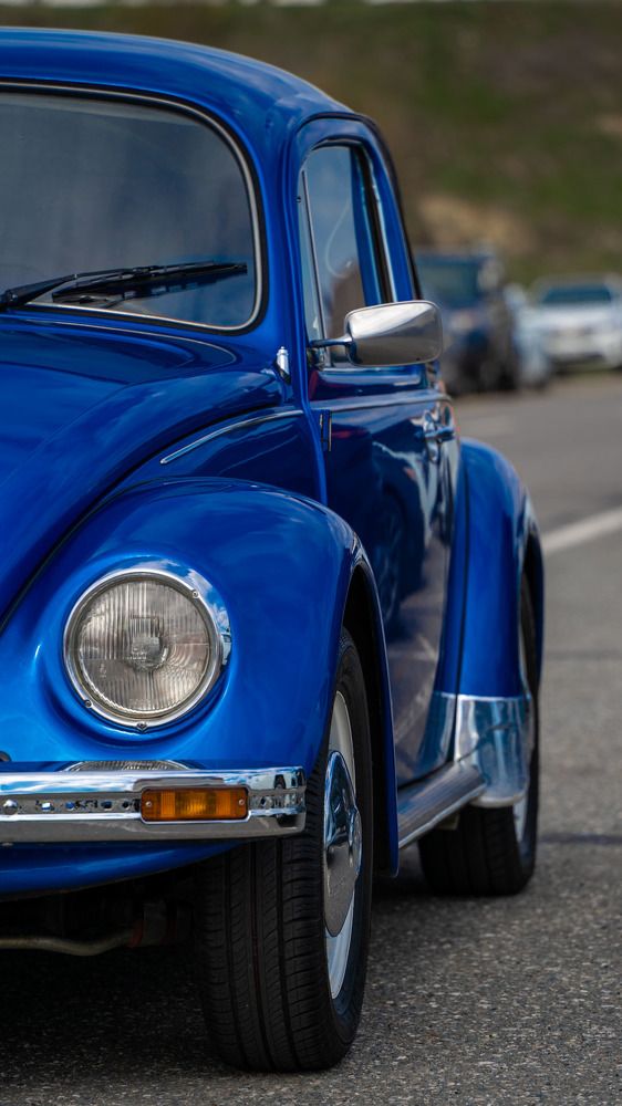 Фотография автора Владимир Романов