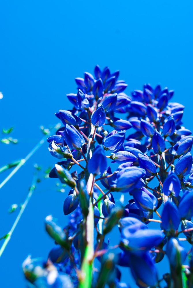 Photograph by Любовь Бусова