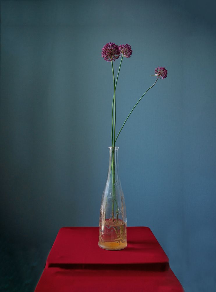 Photograph by Наталия Шляпина