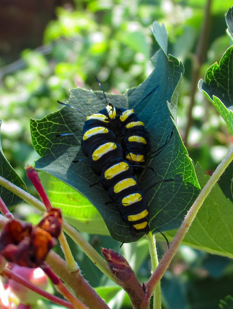 Photograph by Любовь Бусова