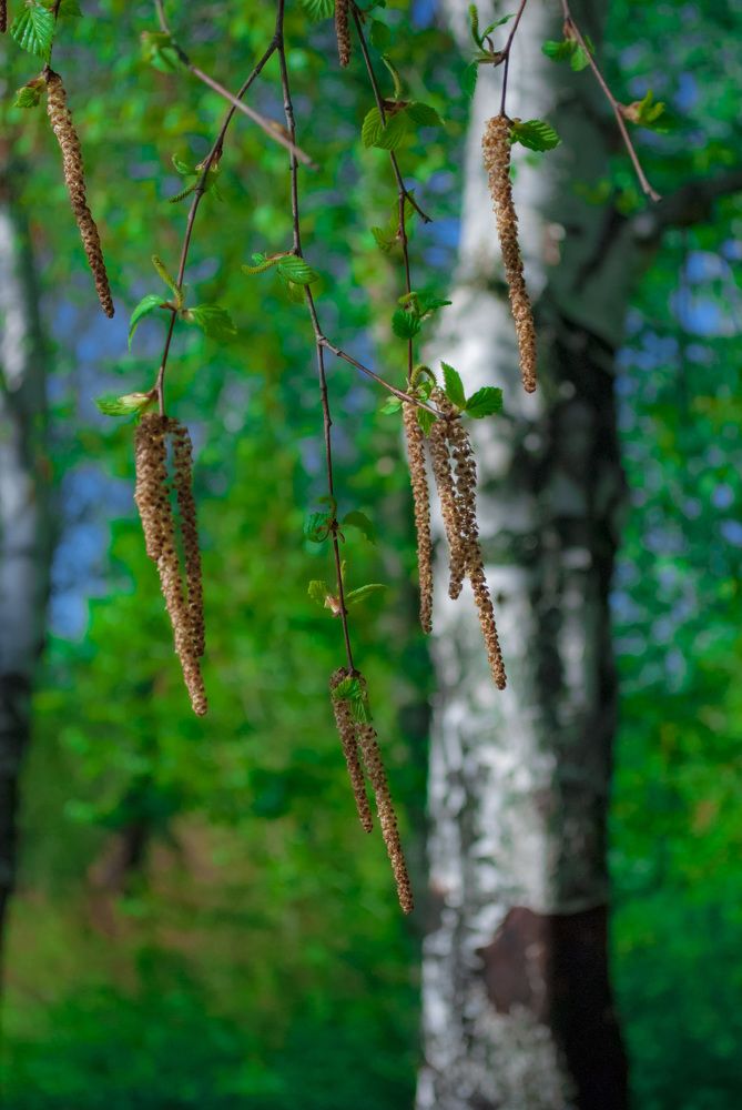 Photograph by Любовь Бусова