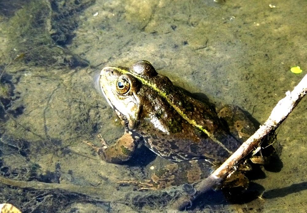 Photograph by леонид натапов