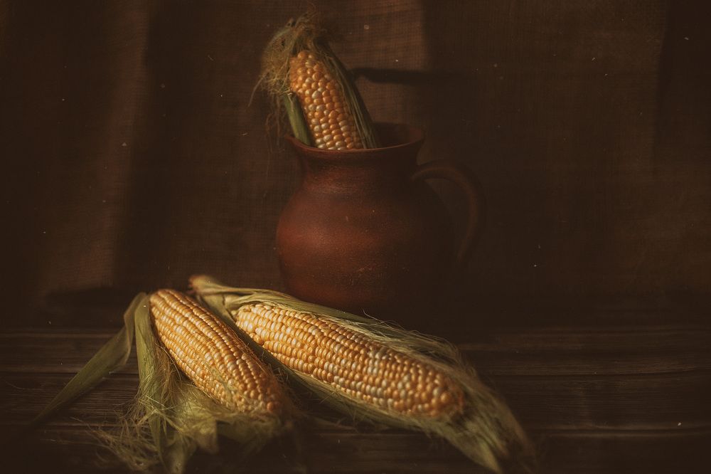 Photograph by Яна Резник