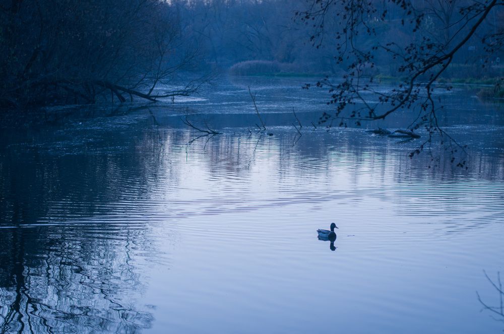 Photograph by Олеся Лагутина