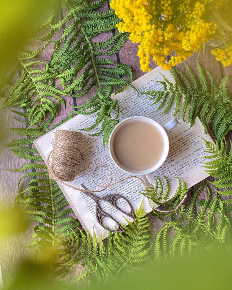 Photograph by Алла Творогова