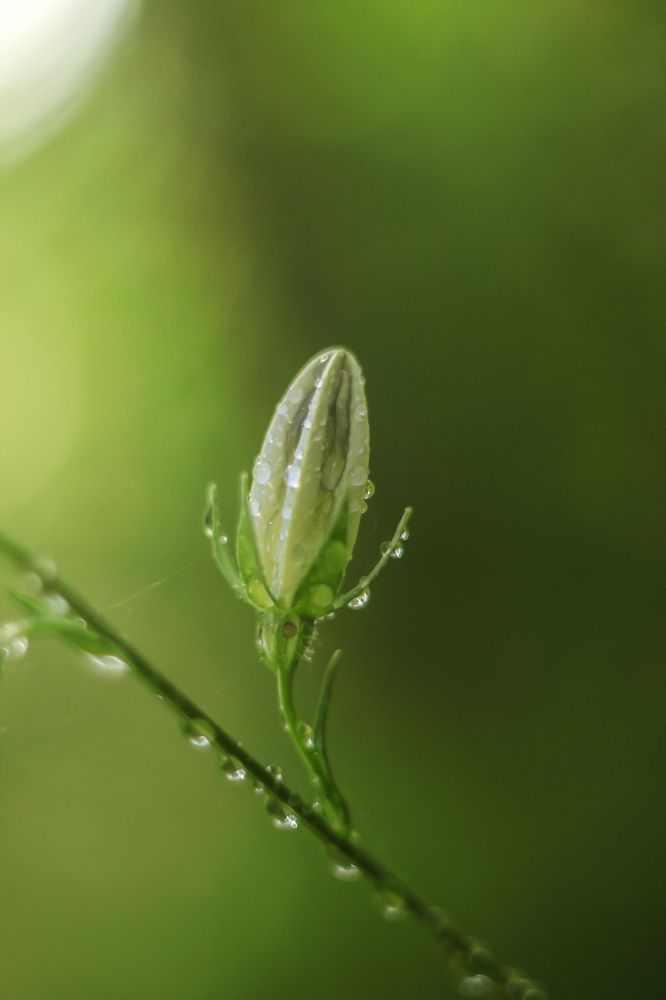 Photograph by Ольга Резникова