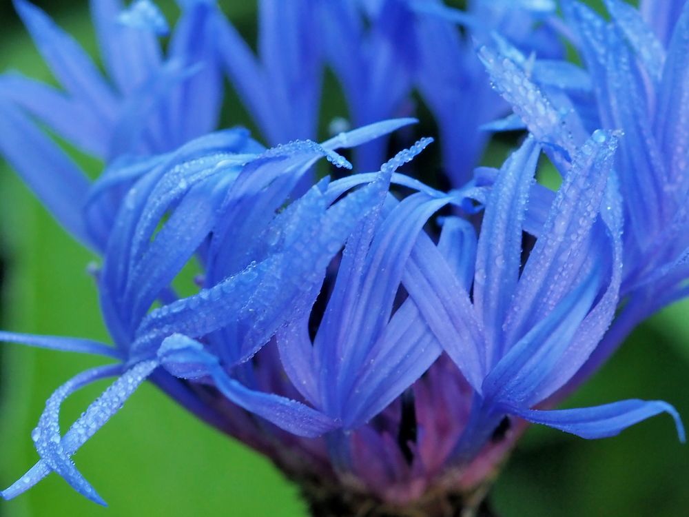 Photograph by Елена Харитонова