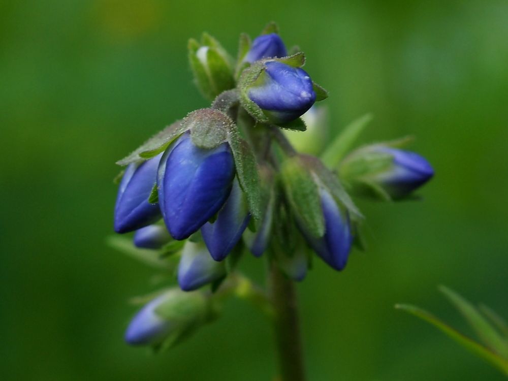 Photograph by Елена Харитонова