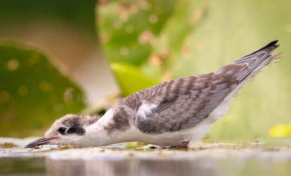 Photograph by Павел Краснослободцев