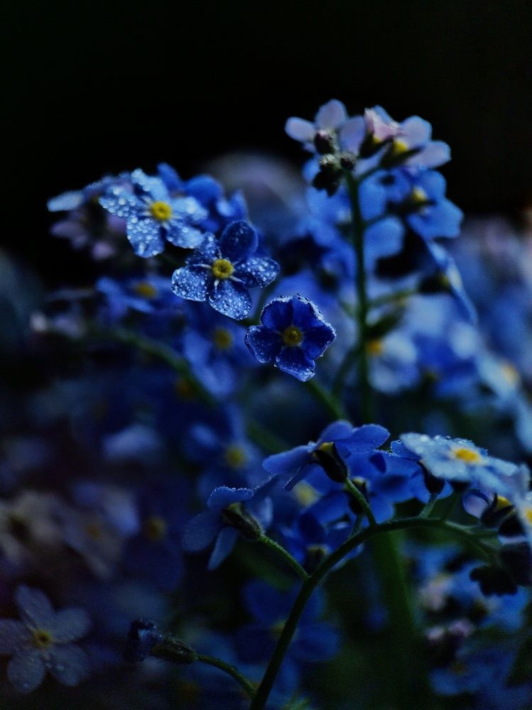 Photograph by Светлана Смирнова