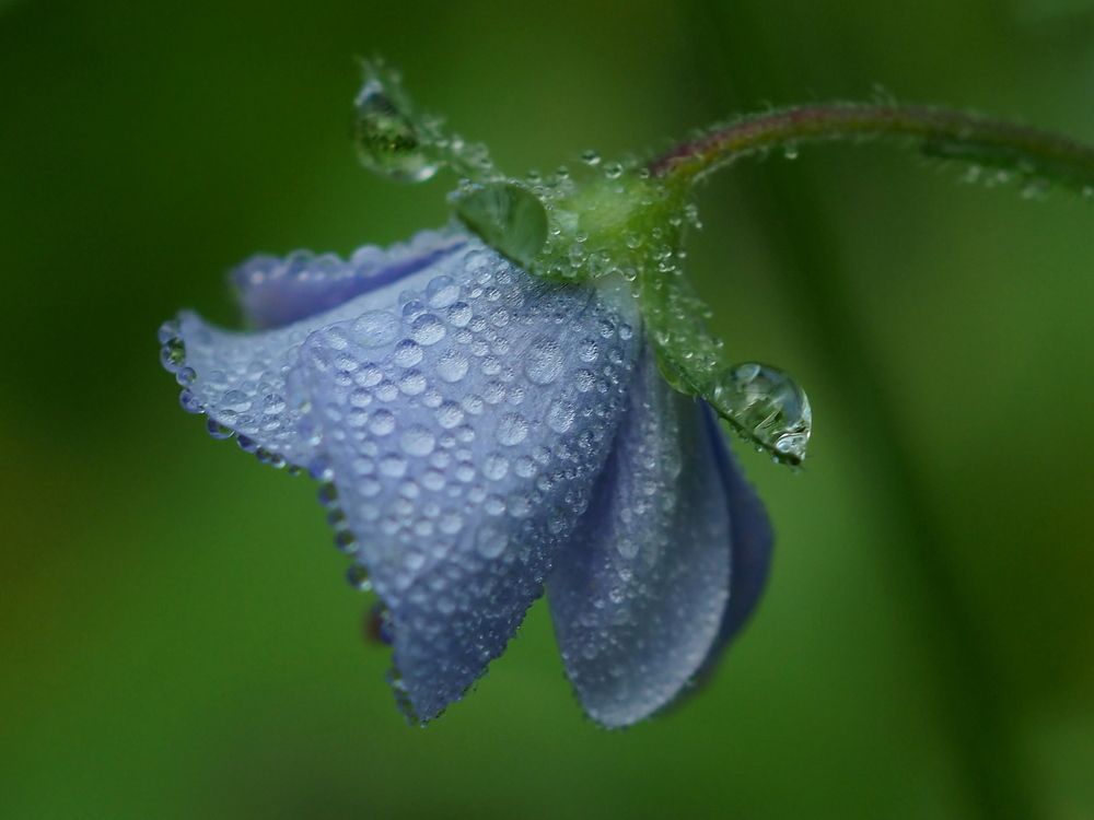 Photograph by Елена Харитонова