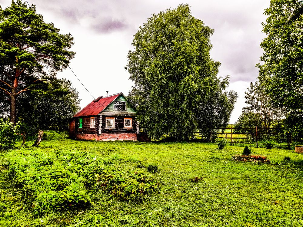 Photograph by Алексей Чернов