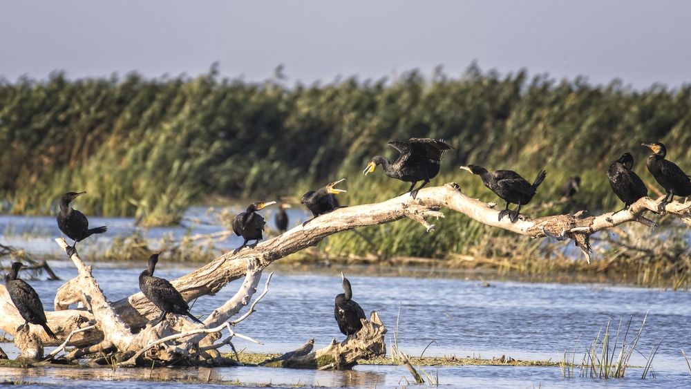 Photograph by Анатолий Салтыков