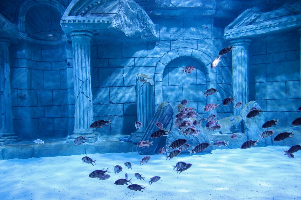 Photograph by Оксана Сафина