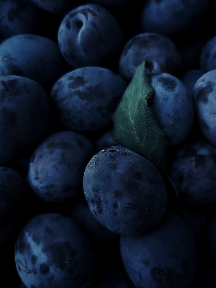 Фотография автора Ольга Кунакова