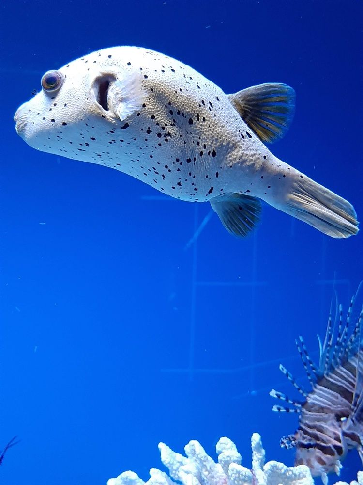 Photograph by Елена Горева