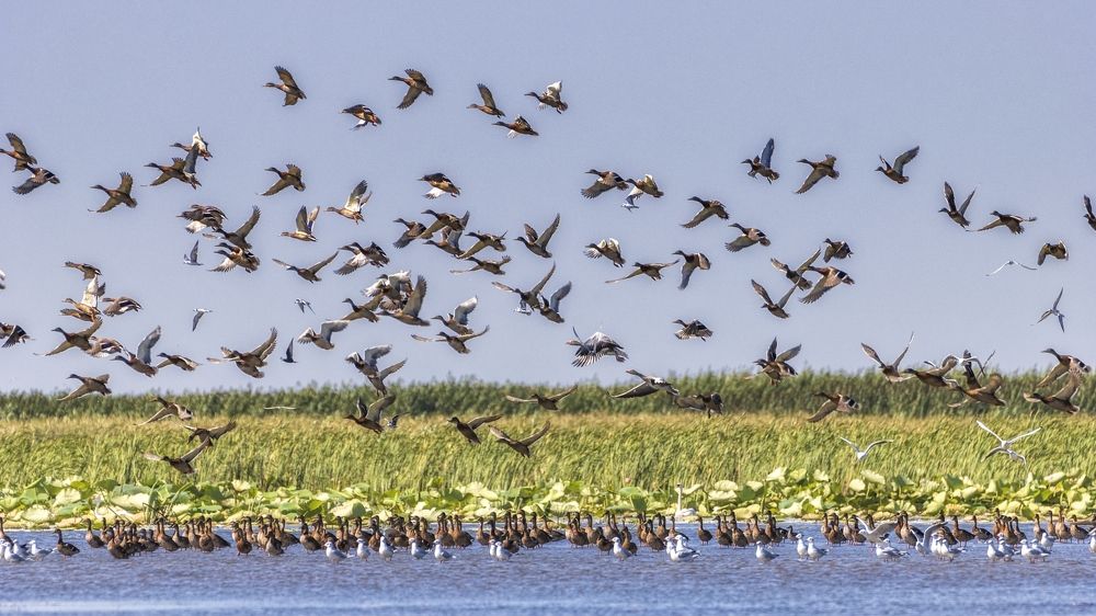 Photograph by Анатолий Салтыков