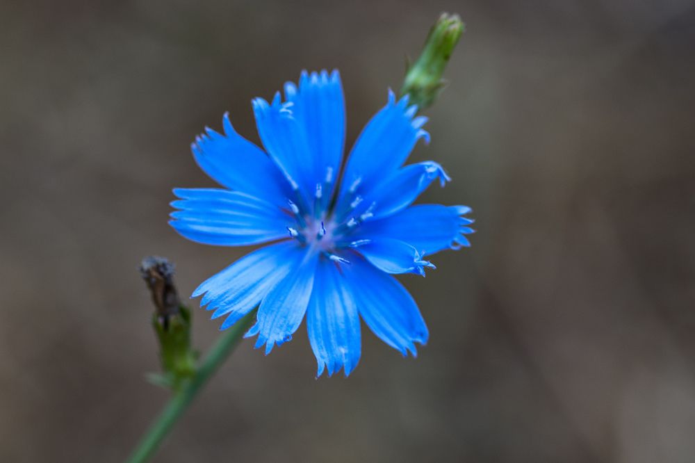 Photograph by Оксана Сафина