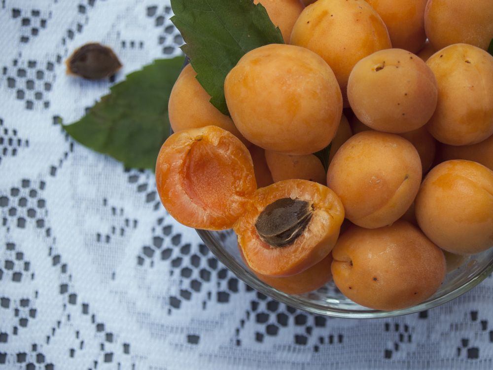 Photograph by Tatevik Tananyan