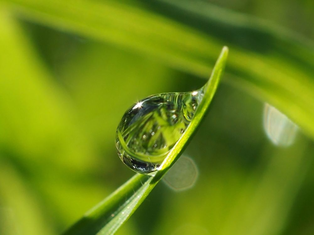 Photograph by Елена Харитонова