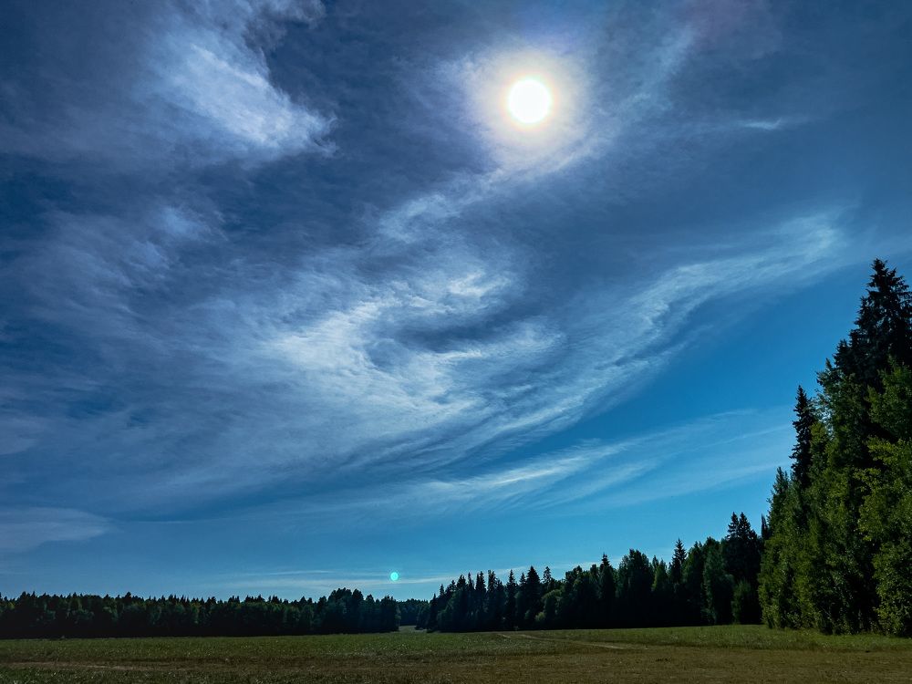 Photograph by Alice Vikernes