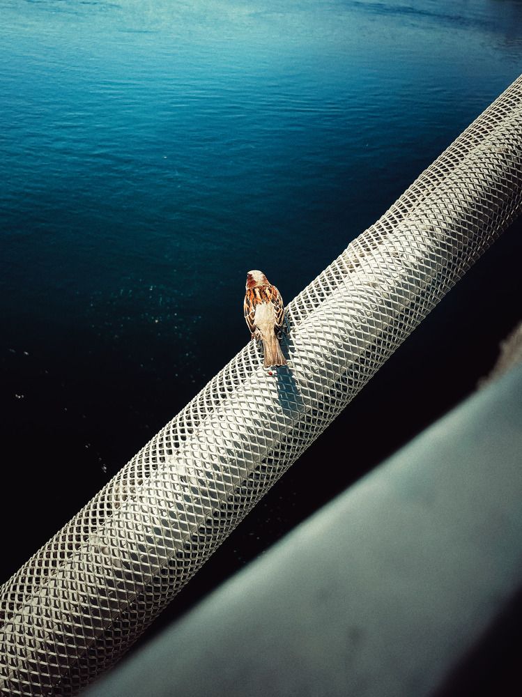 Photograph by Александр Маргачев