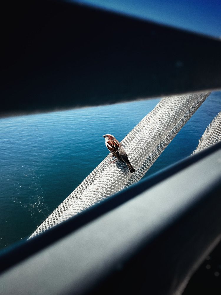 Photograph by Александр Маргачев