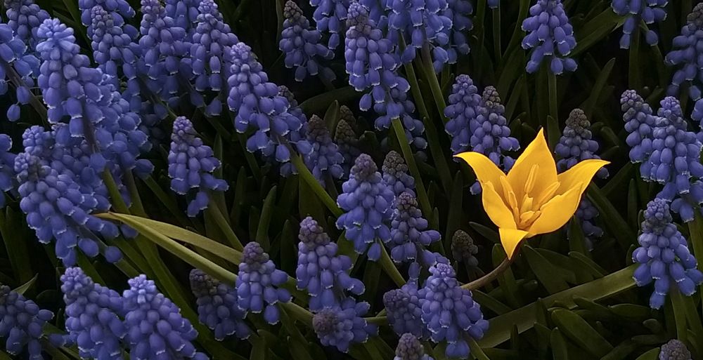 Photograph by Лада Денисова