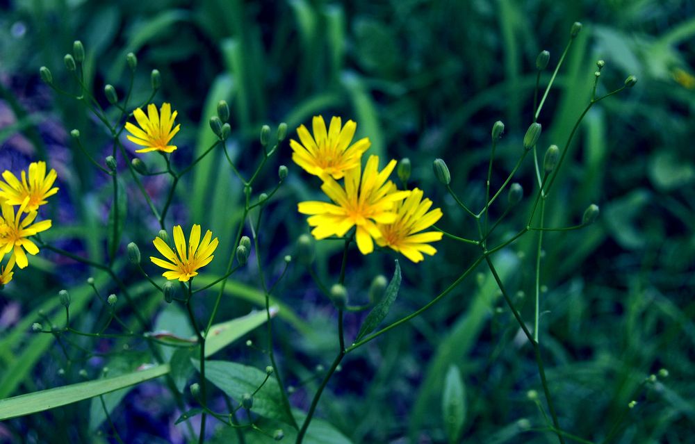 Photograph by Tatevik Tananyan