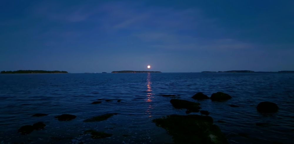 Photograph by Epp Tappel