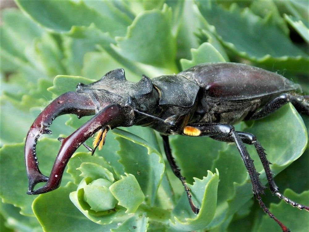 Photograph by Олександр Розум