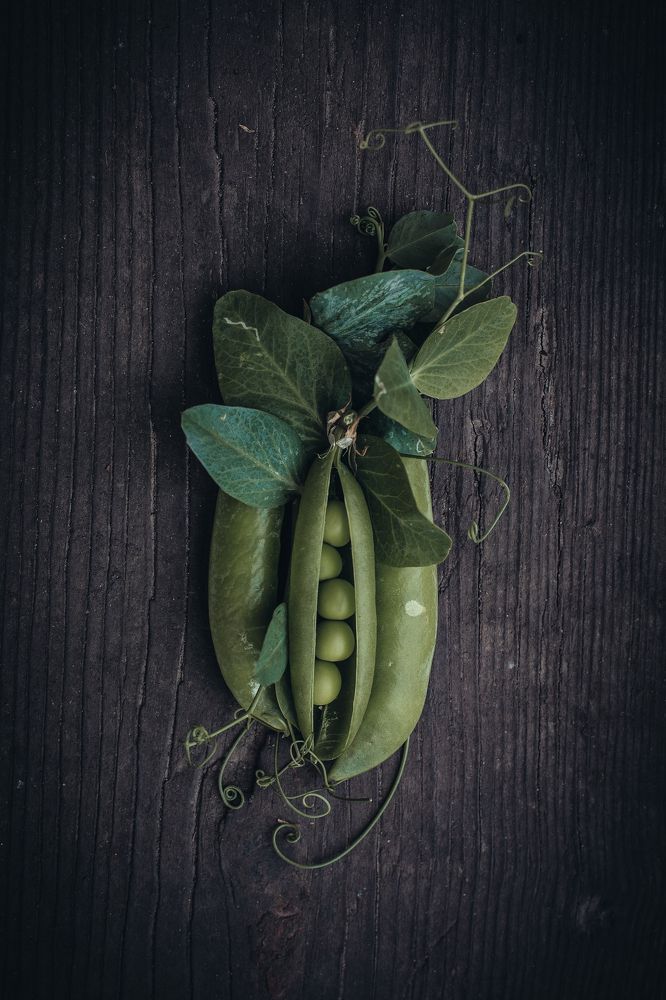 Photograph by Angelina Bukina