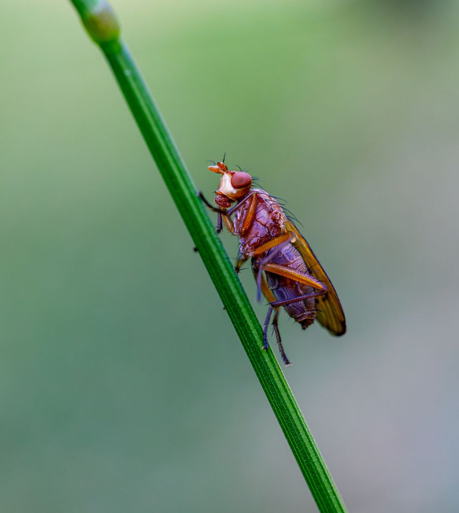 Photograph by Tomas Hora