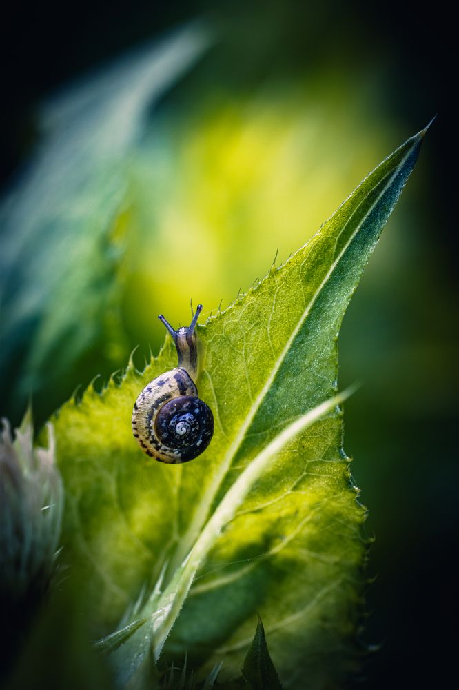 Photograph by Tomas Hora