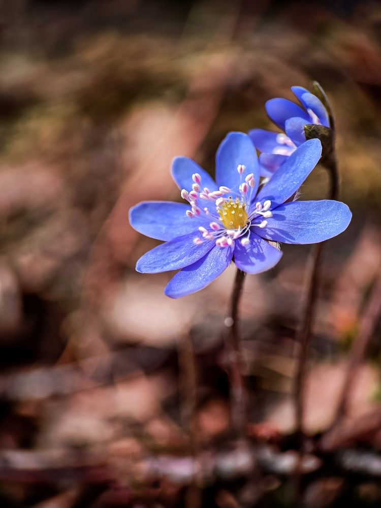 Photograph by Лора