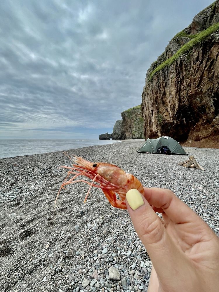 Фотография автора Юлия Недосекина