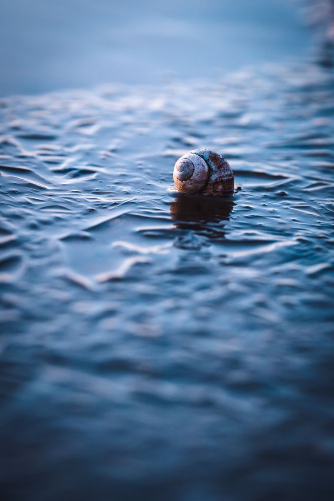 Photograph by Angelina Bukina