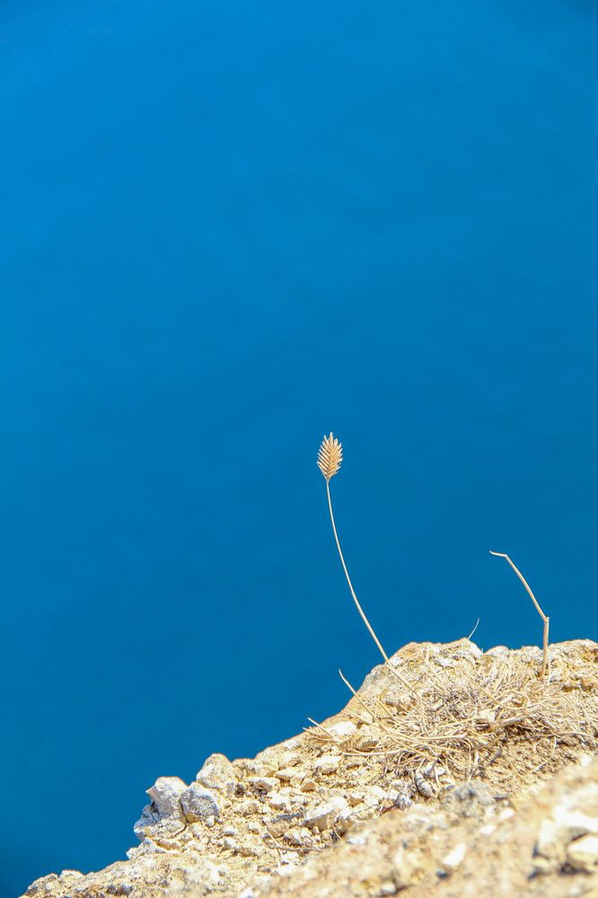 Photograph by Лия Маликова