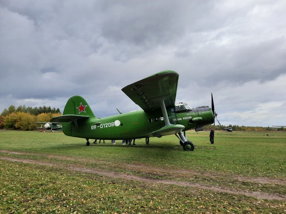 Фотография автора Елена Пикатова