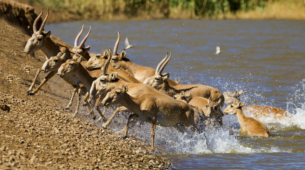 Photograph by Светлана Барабанщикова