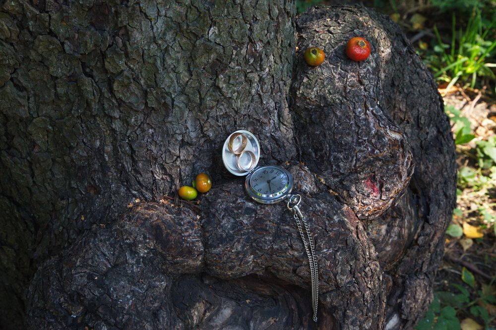 Photograph by Анатолий Протасов