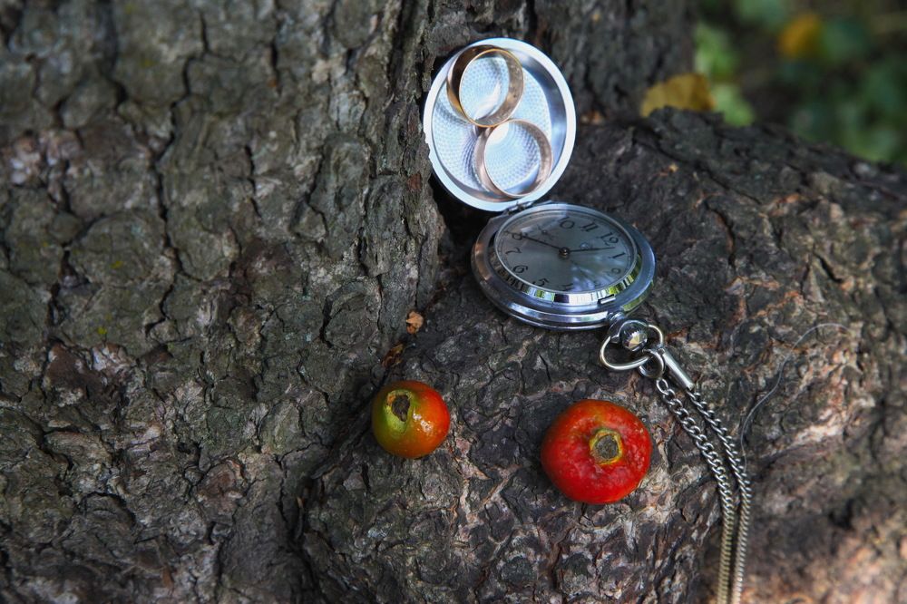 Photograph by Анатолий Протасов